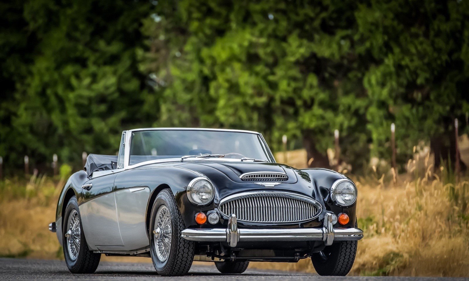 Motor Insurance Claim - Vehicle Damage Assessment