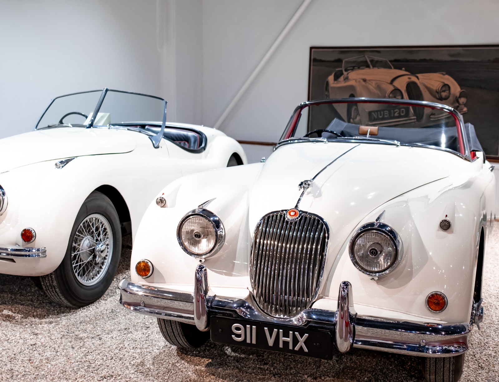 Motor Insurance Claim - Professional Loss Assessor