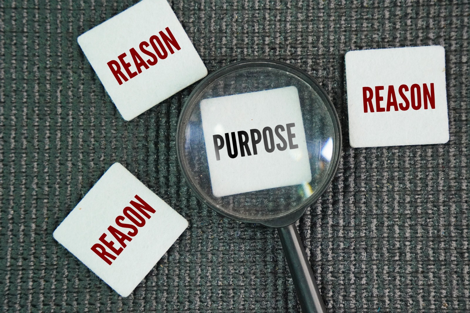 Reasons Why People Choose Vanguardo